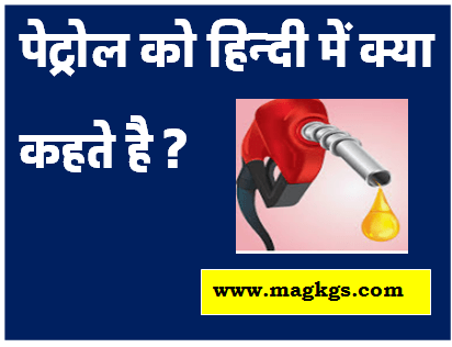 Interesting GK : पेट्रोल को हिंदी में क्या कहते है ?