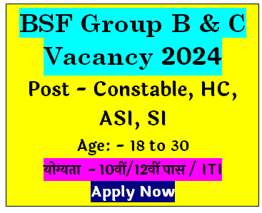 BSF Group B & C Constable HC ASI SI Various Post Bharti 2024