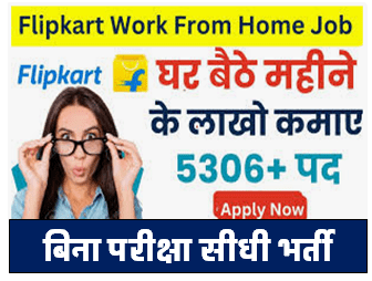 Flipkart Work From Home Job Details and Process : फ्लिपकार्ट के साथ काम करके घर बैठे पैसा कमाएं